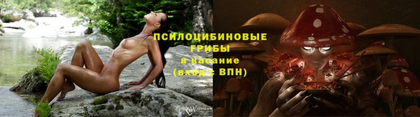 прущая мука Краснослободск
