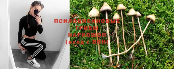 прущая мука Краснослободск