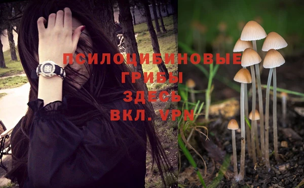 прущая мука Краснослободск