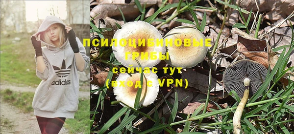 прущая мука Краснослободск